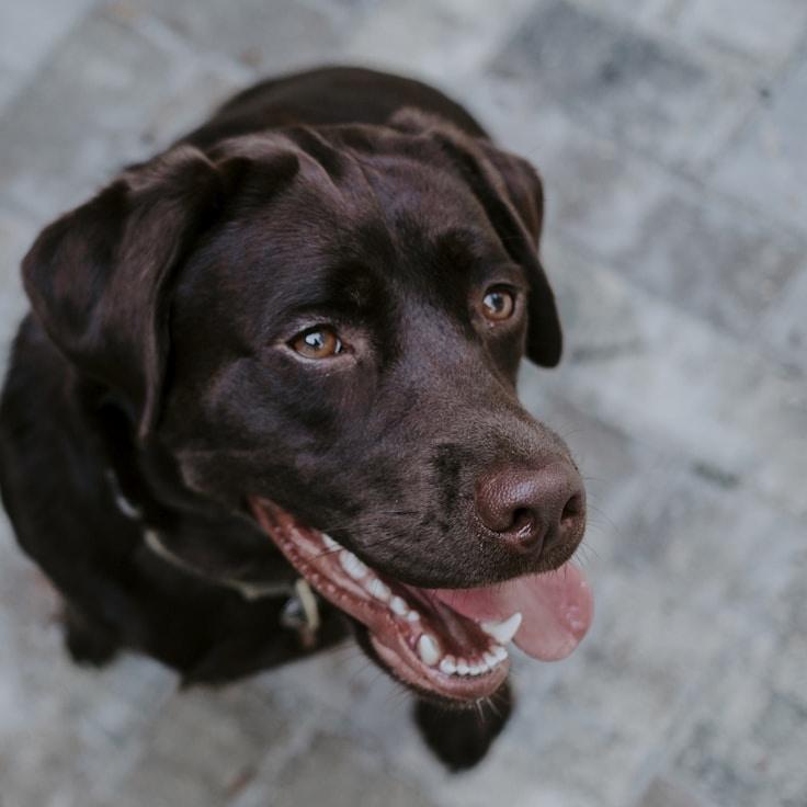 Portrait of Alex Rivera, community mentor and Italian cuisine specialist
